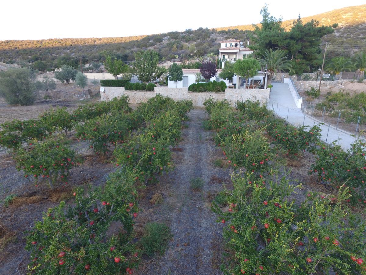 Traditional Guest House Grandma Vitsa In Ermioni Dış mekan fotoğraf